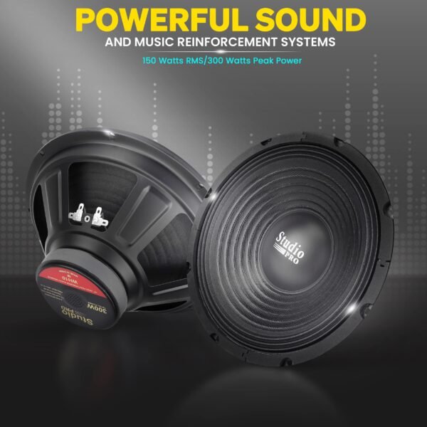 10 Inch Car Subwoofer Speaker 300 Watt High Powered Car Audio Sound Component Speaker System